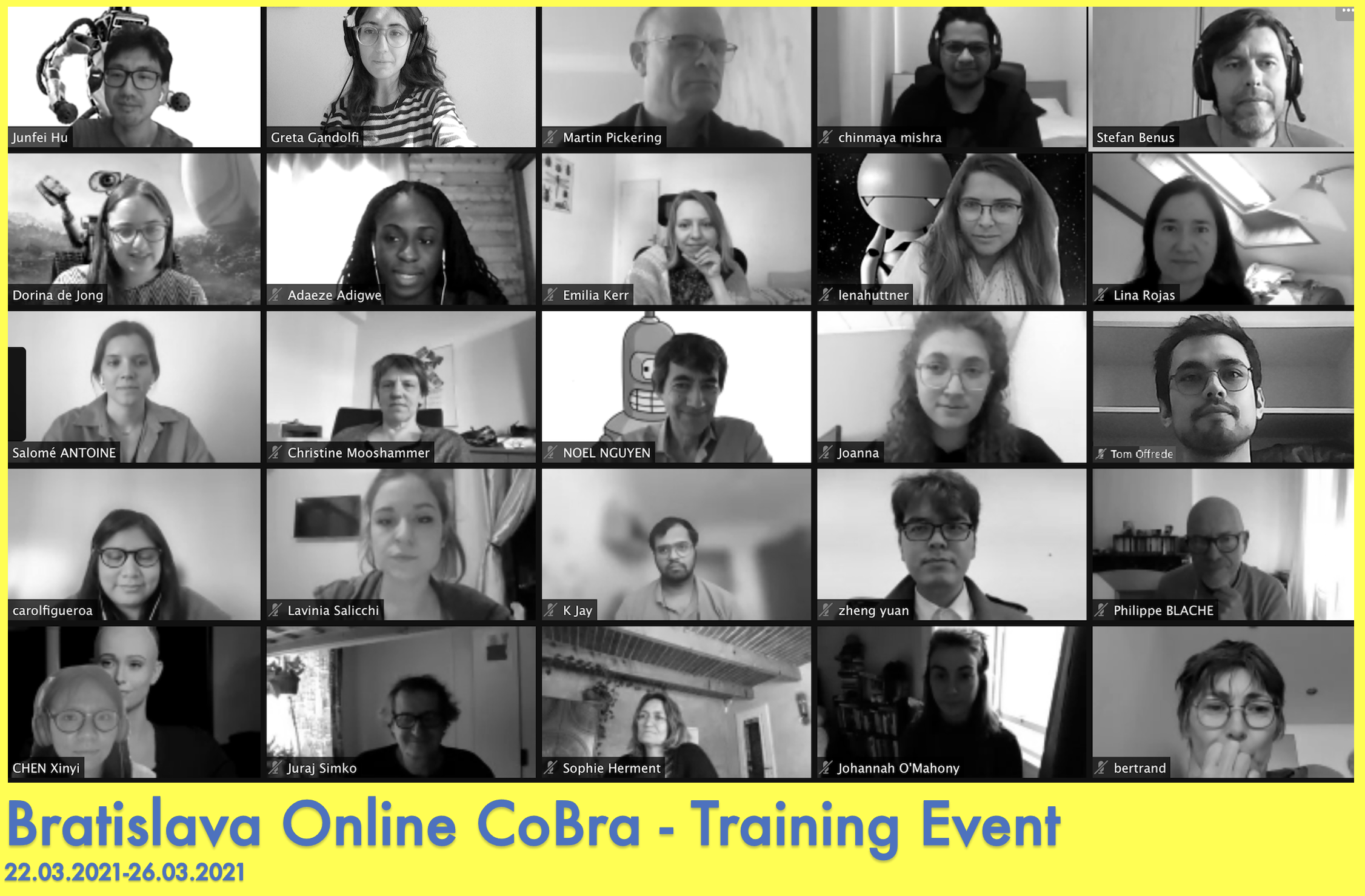 Zoom Screen of Bratislava Online Event participants.